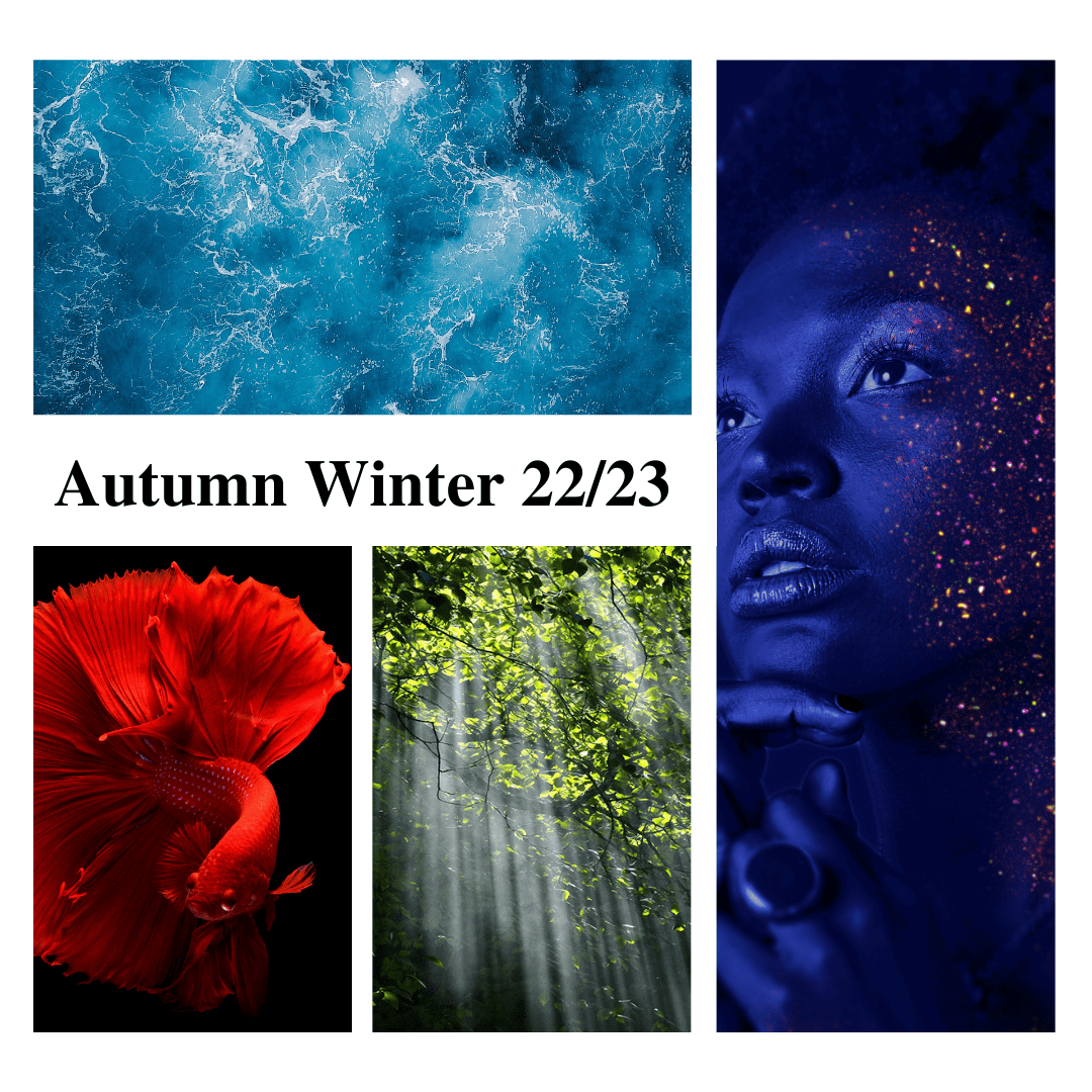 2202P1172.jpg  autumn-winter-2022-2023